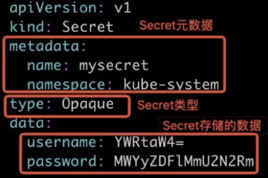 image-20220223170019608