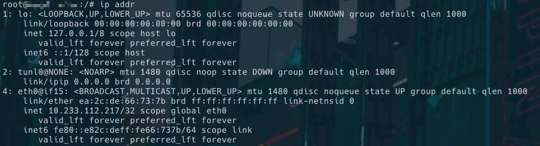 image-20240127145924099