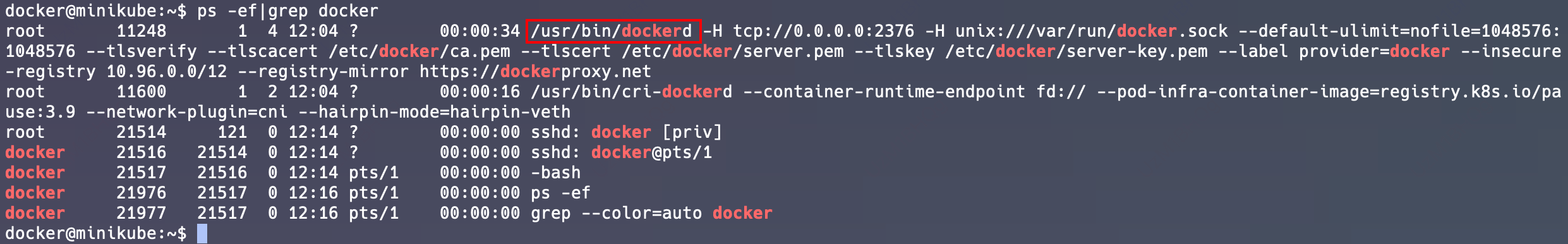 image-20240920202427320